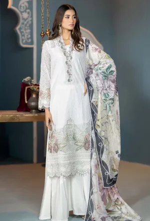 Adan's Libas Lueur Chikankari Collection – Cloying