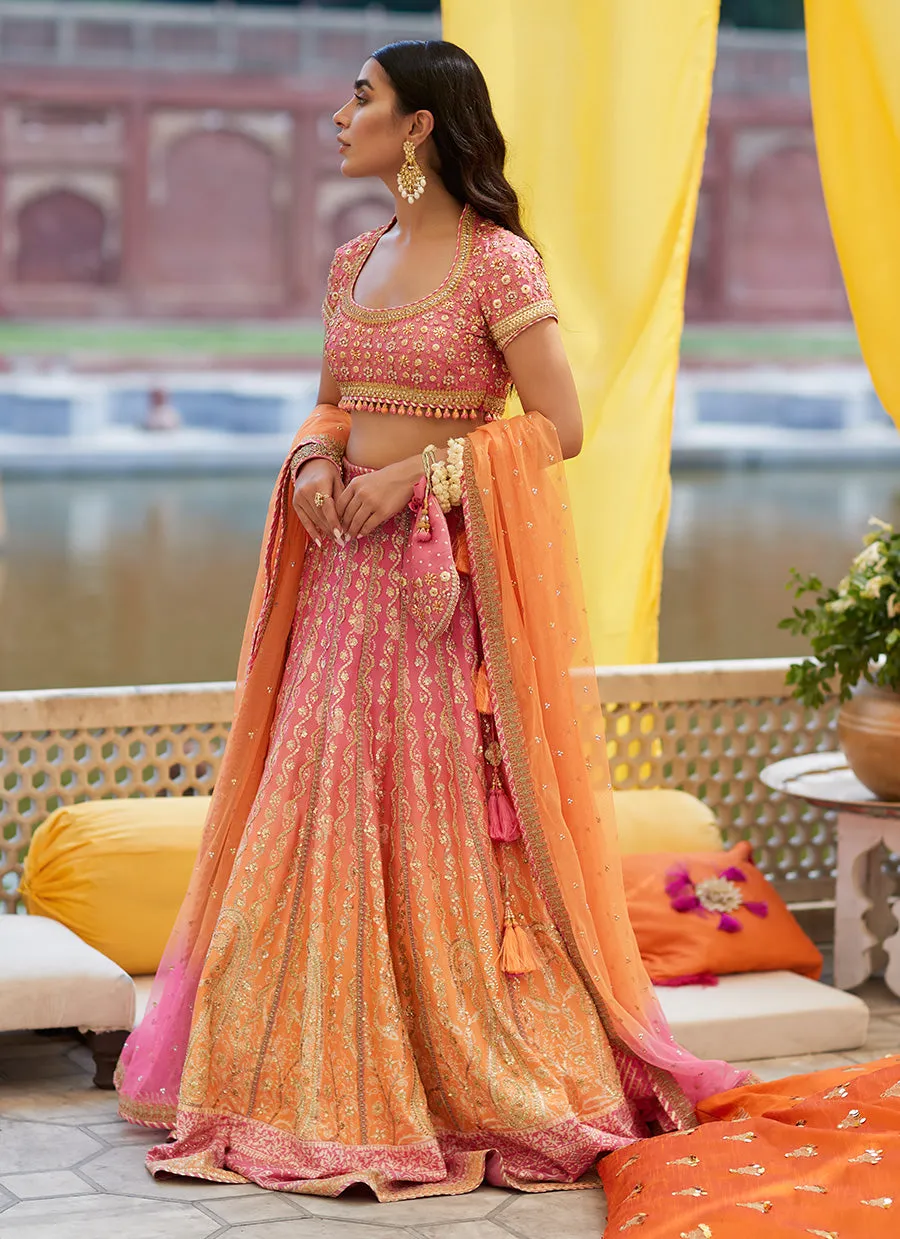 Akira Ombre Lehnga Choli