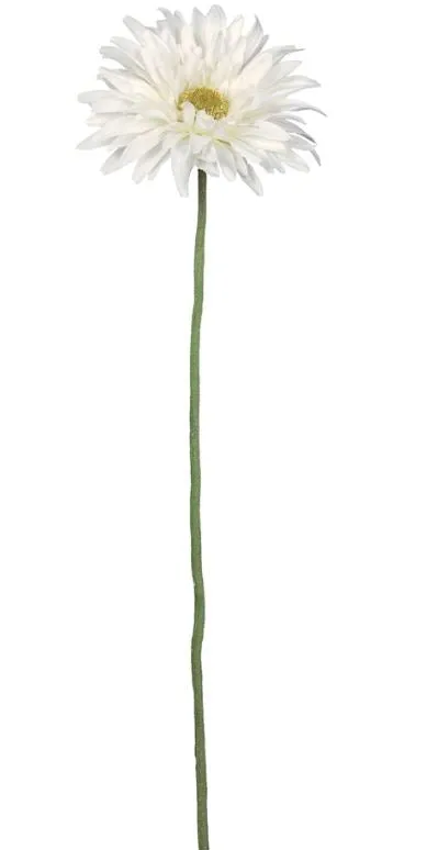 Gerbera Daisy Stem - 23" White