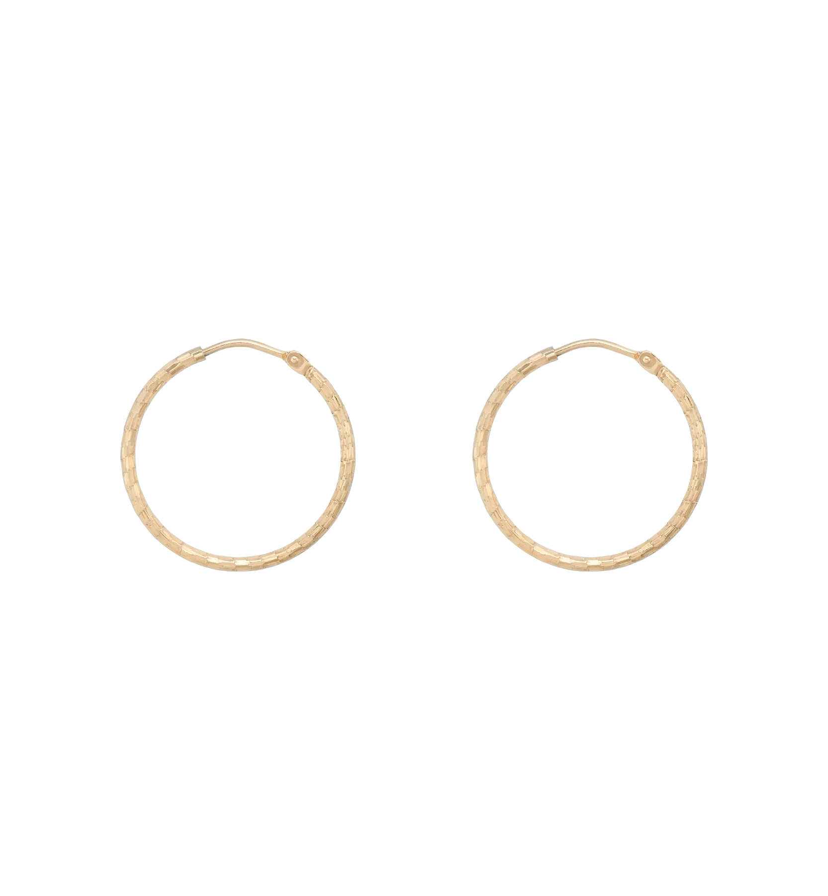 Hammered Plain Hoop Earrings