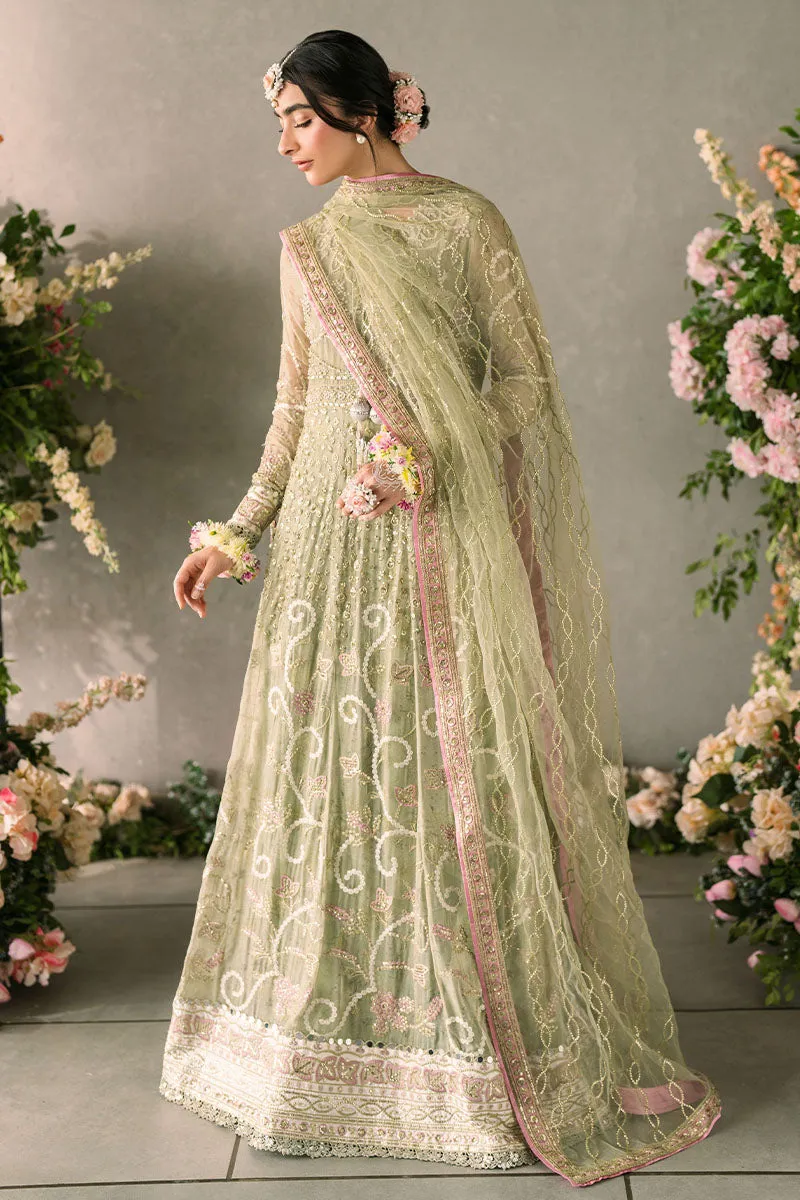 Mushq Mastani Evening Luxury Wedding Formals – Namar