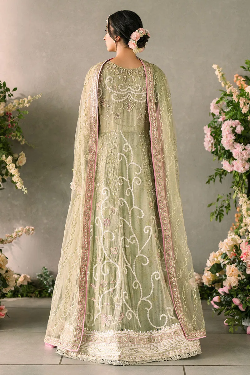 Mushq Mastani Evening Luxury Wedding Formals – Namar