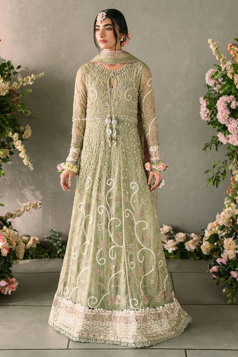 Mushq Mastani Evening Luxury Wedding Formals – Namar