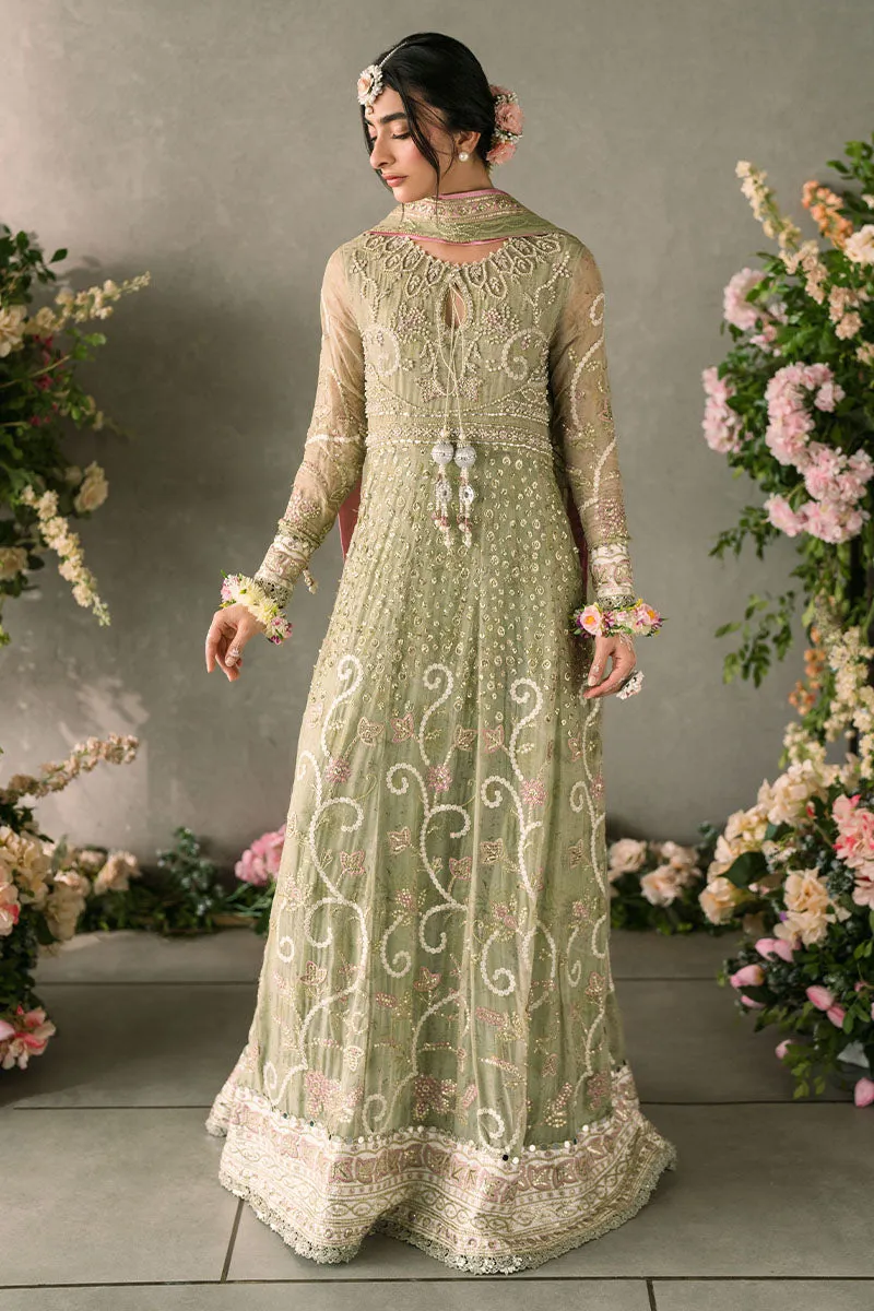 Mushq Mastani Evening Luxury Wedding Formals – Namar