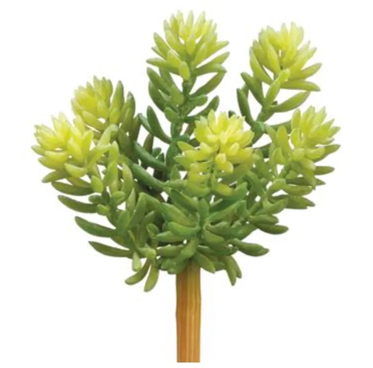 Soft Sedum Pick - 7" Green