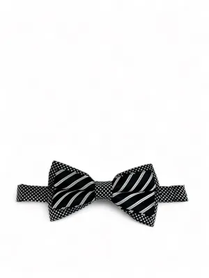 Steven Land Black and White Striped Bow Tie Set